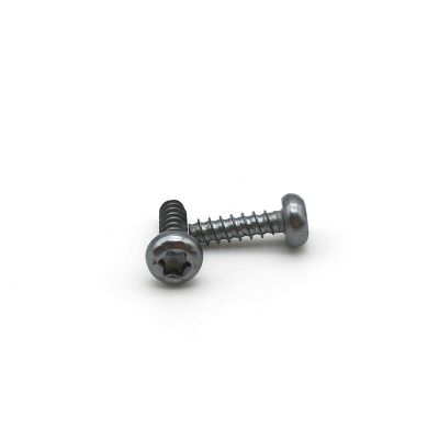 Torx Drive Pan Head Tapping Screw