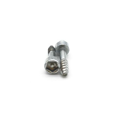 Hex Socket Cap Head Security Screw