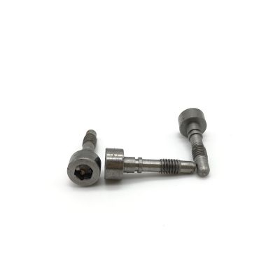 Hex Socket Cap Head Special Screw