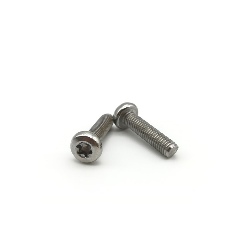 Torx Pan Head Screw