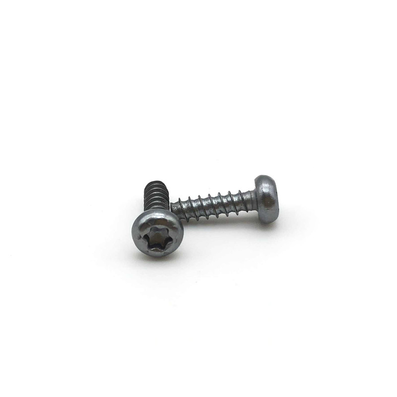 Torx Drive Pan Head Tapping Screw