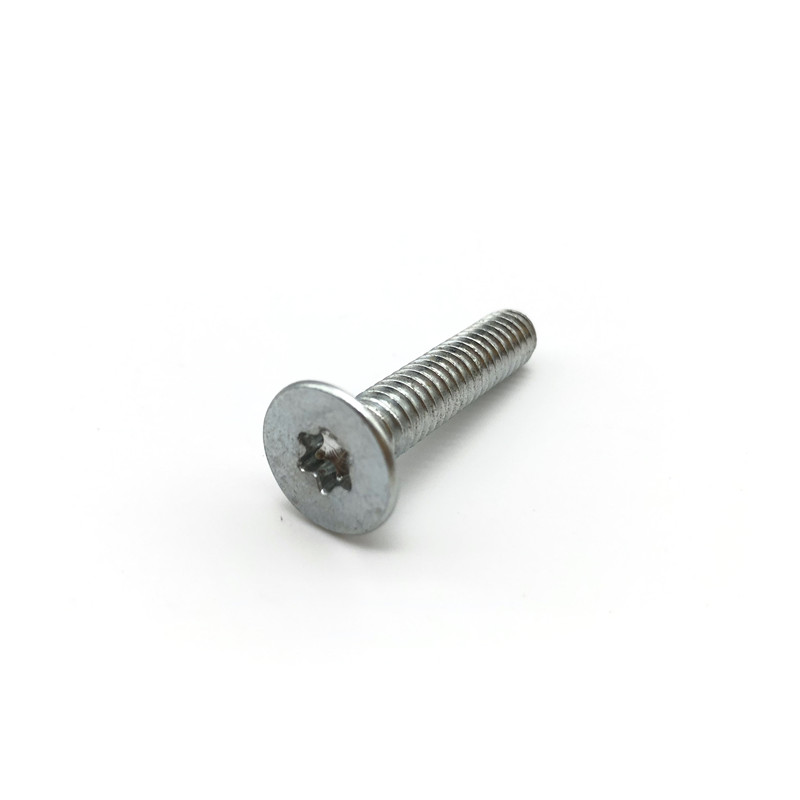 Torx Flat Head Screws